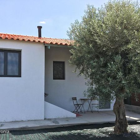 Casas Da Baronia Casa Catarina Villa Vila Nova da Baronia Ngoại thất bức ảnh